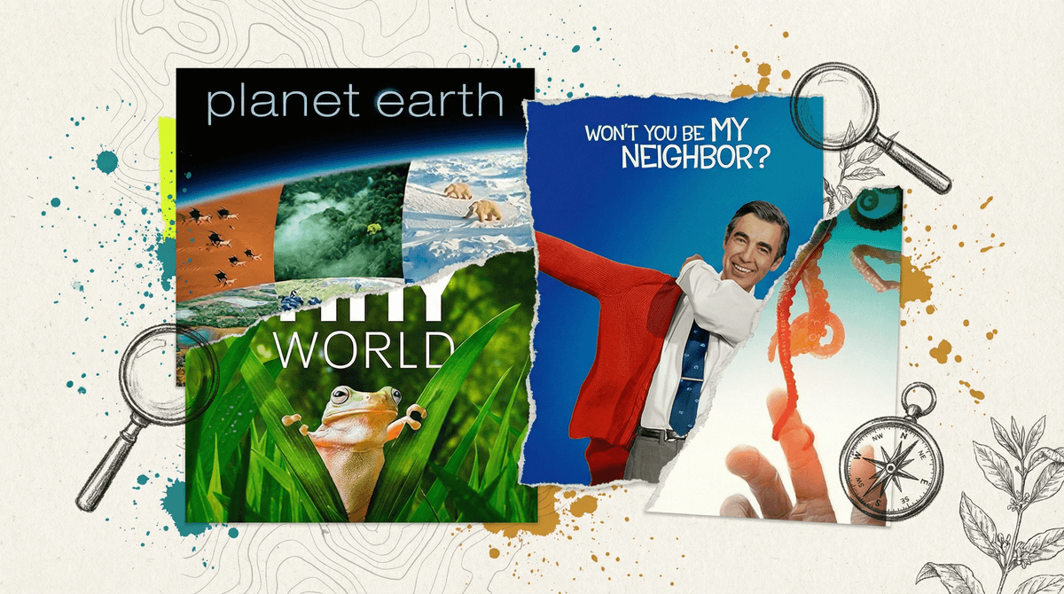Illustration for Best Documentary Films and Series for Family Viewing
