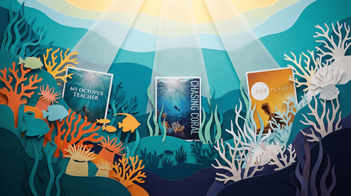 Chasing Coral: Using This Documentary to Talk Climate Change with Kids