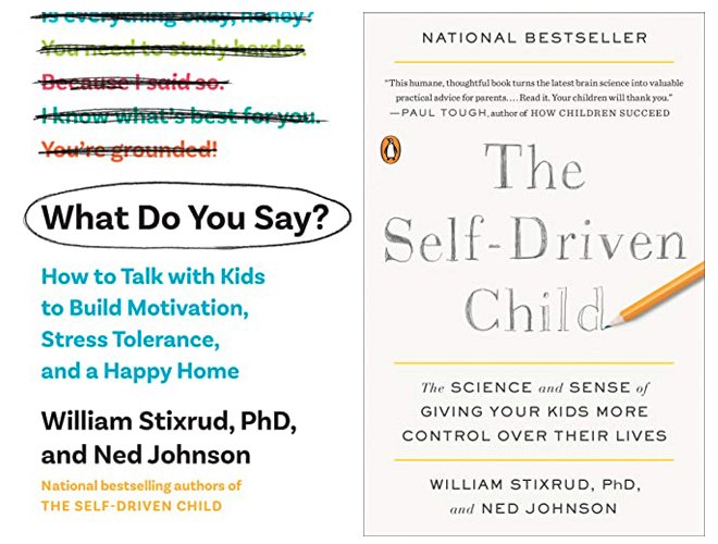 The covers of What Do You Say? and The Self-Driven Child side by side