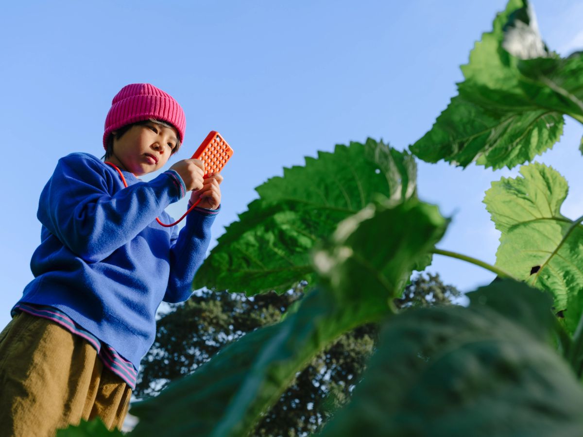 A boy in a pink beanie holding an orange Freckle up to photograph giant leaves overhead